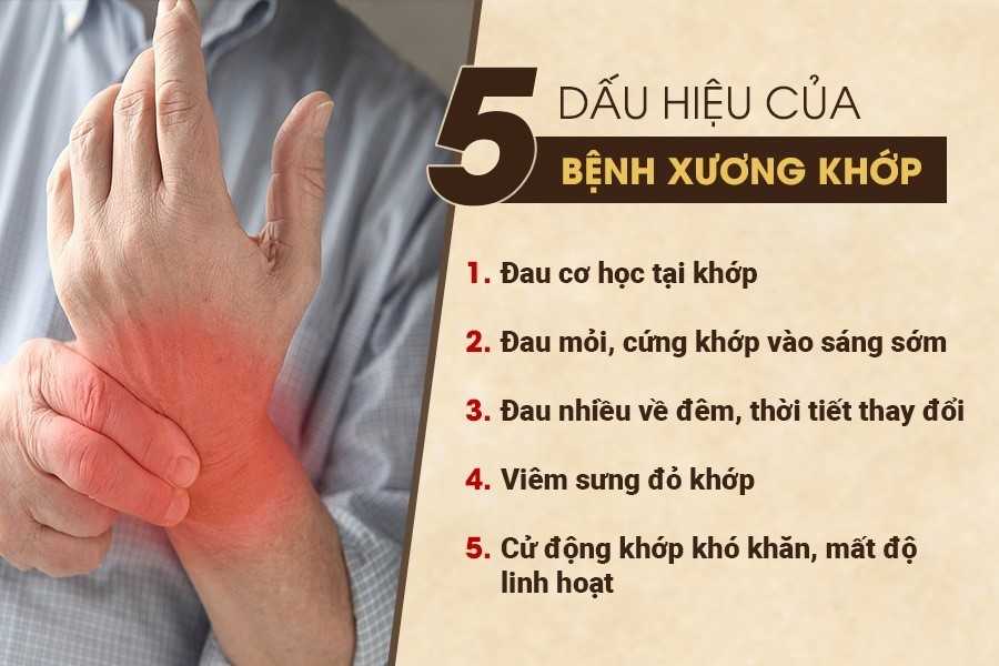 Bệnh xương khớp là gì? Hiểu đúng để tránh sai lầm trong điều trị và phòng ngừa