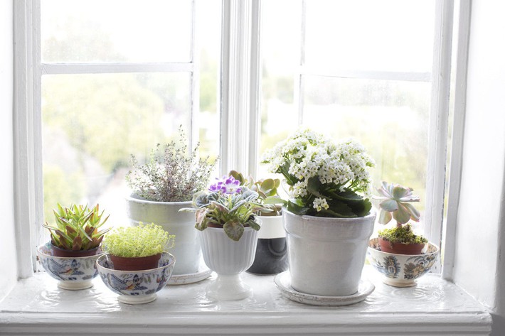 Trang trí khung cửa sổ, điều không thể thiếu khi bạn muốn decor lại căn nhà của mình - ảnh 14 Trang trí khung cửa sổ, điều không thể thiếu khi bạn muốn decor lại căn nhà của mình - ảnh 14