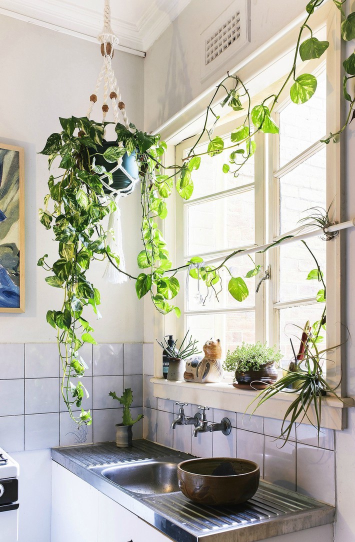Trang trí khung cửa sổ, điều không thể thiếu khi bạn muốn decor lại căn nhà của mình - ảnh 11 Trang trí khung cửa sổ, điều không thể thiếu khi bạn muốn decor lại căn nhà của mình - ảnh 11