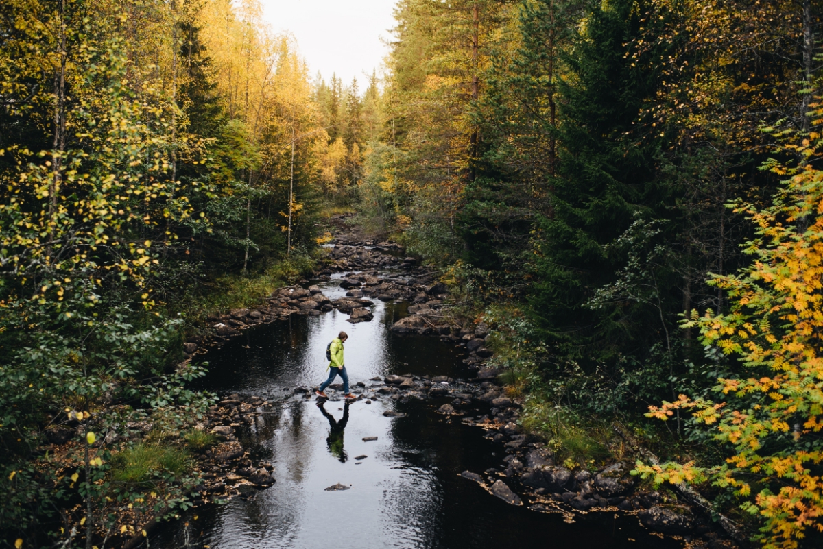 Hälsingland, Thụy Điển